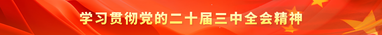學(xué)習(xí)貫徹黨的二十屆三中全會精神